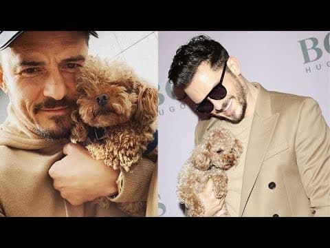 オーランド・ブルームの犬が、ケイティ・ペリーとの関係の噂の中でショーを独り占め