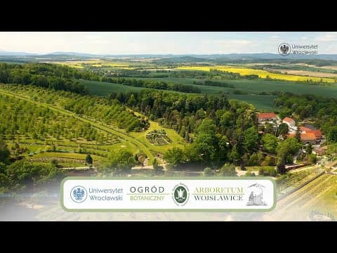 HEMEROmania 2025: Фестиваль Лилейников в Арборетуме Войславице (Польша)
