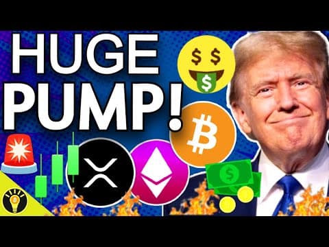 XRP: Zakelijke kansen en uitdagingen in Nederland