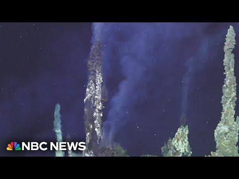 Axial Seamount vertoont tekenen van mogelijke uitbarsting in 2025: Verhoogde seismische activiteit waargenomen