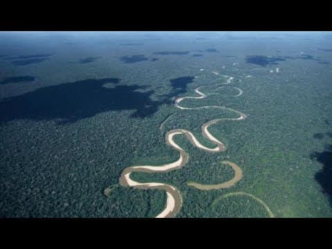 Global Efforts to Combat Deforestation and Promote Reforestation in Latin America