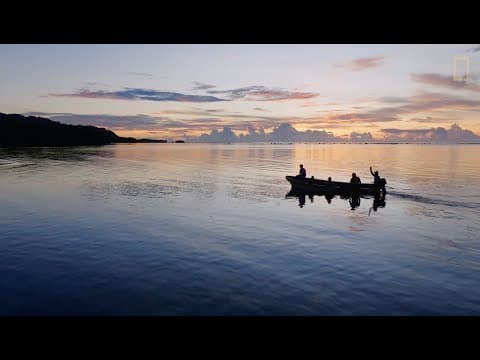 Atol Adası Ekosistemini İyileştirme Çalışmaları 2025'te Deniz Seviyesi Yükselmesine Karşı Artıyor