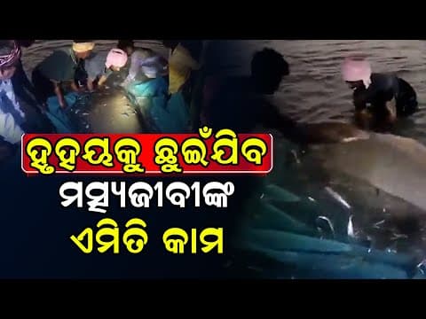 Fishermen Rescue Dugong in Tamil Nadu