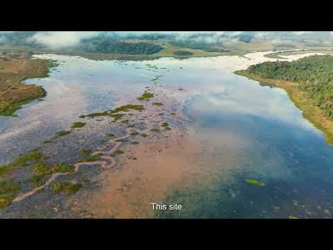 Misiones, Argentina, Campeã em Conservação Ambiental e Cria Condições Favoráveis para Flora e Fauna