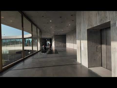 LACMA में डेविड गेफेन गैलरी का पूर्वावलोकन