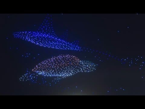 海洋保育高峰會：世界各國領袖齊聚尼斯