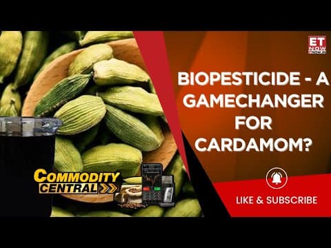 Bulgaria Revela Bioinsecticida Revolucionario para la Agricultura Sostenible