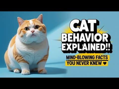 猫の行動を解読する：猫のシグナルを理解する