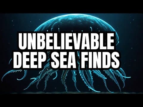 Une expédition en eaux profondes révèle plus de 100 nouvelles espèces marines