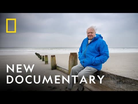 David Attenboroughs Film 'Ozean' erscheint 2025: Ein Aufruf zum Schutz unserer Meere